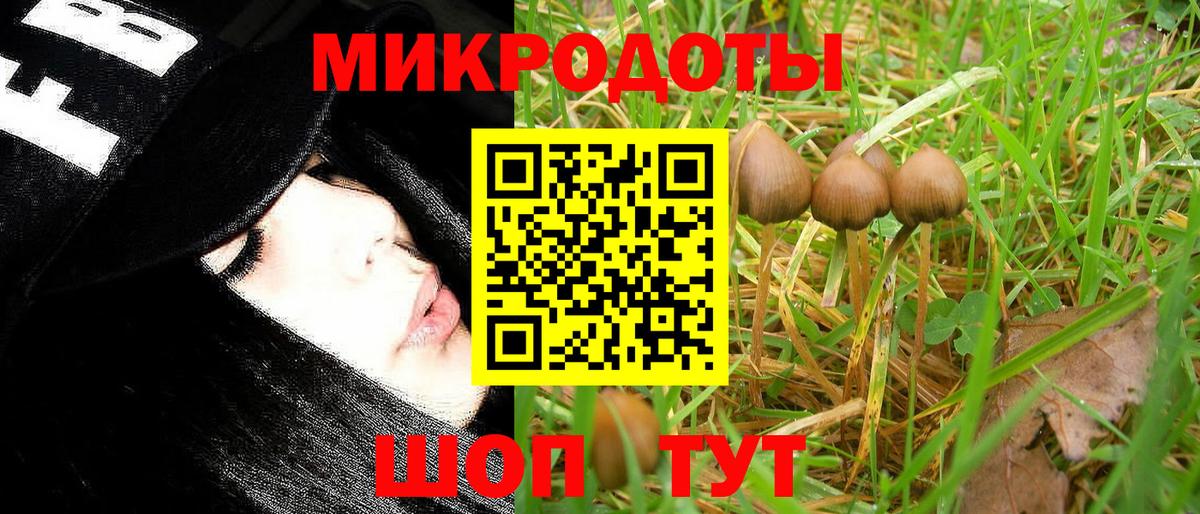 Псилоцибиновые грибы мухоморы Владикавказ